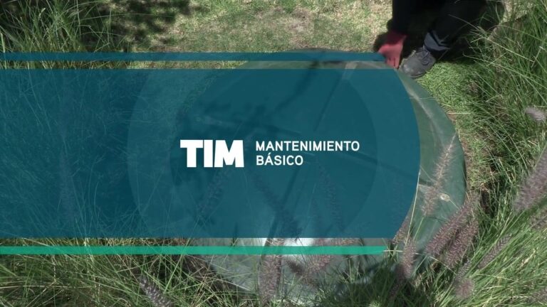 GUIA PARA EL MANTENIMIENTO GENERAL DE TU PLANTA TIM